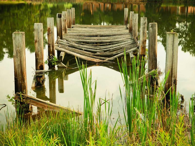 cookies screenshot 5