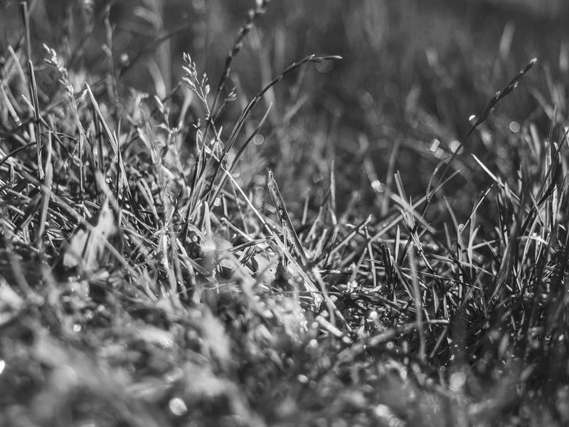 cookies screenshot 3