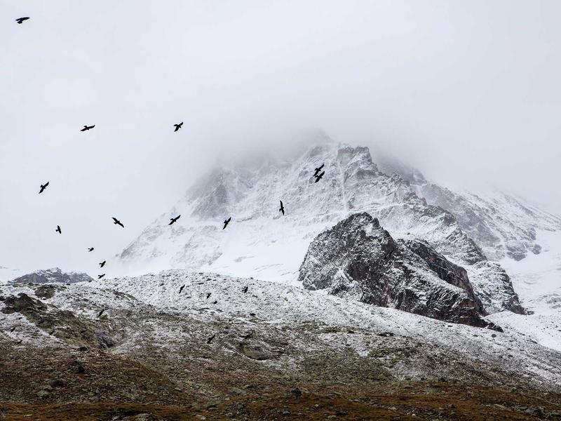 cookies screenshot 6